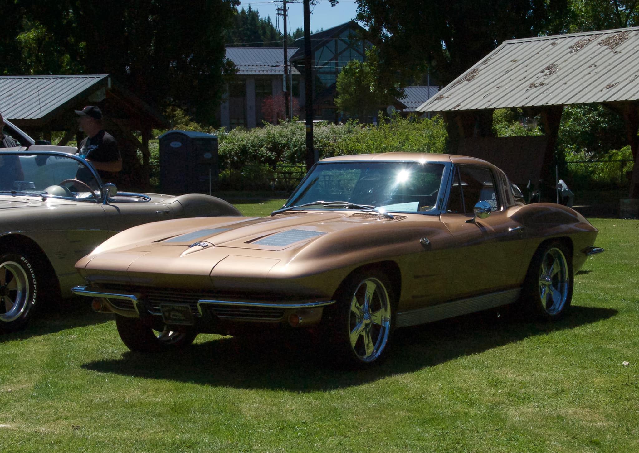 Mitzi's bronze Corvette